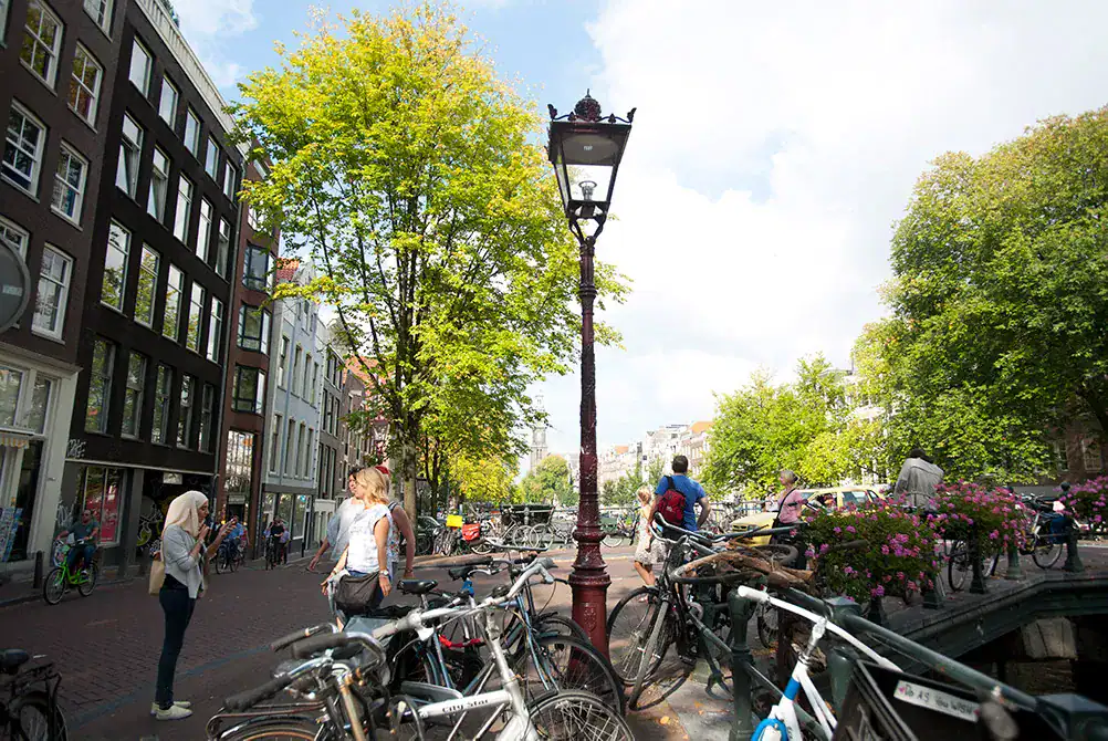 grachtenmastamsterdam2